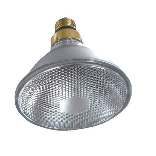Par38 150w best sale